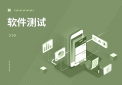 深圳 中國軟件開發的創新引擎與人才高地
